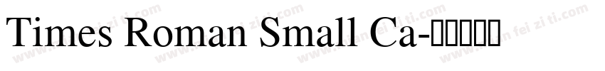 Times Roman Small Ca字体转换